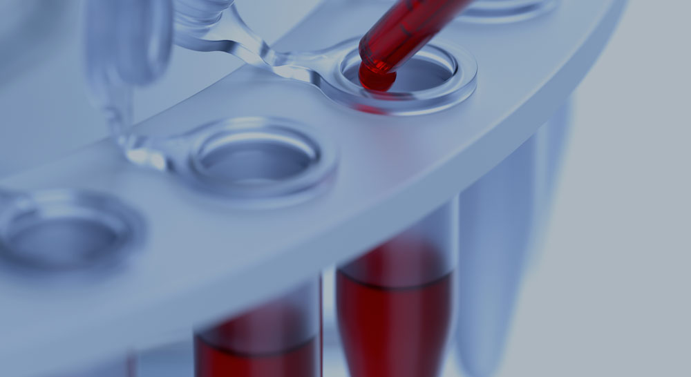 two scientists in a lab